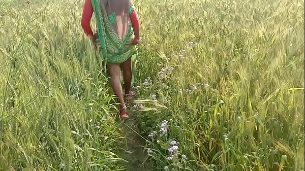 Desi Bhabhi Digoda Di Ladang, Ngentot Liar Di Sawah