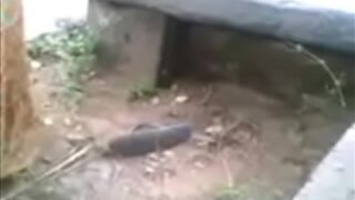 Video Mesum Desi Di Luar Ruangan, Si Pelacur Nikah Lagi Main Sama Selingkuhannya